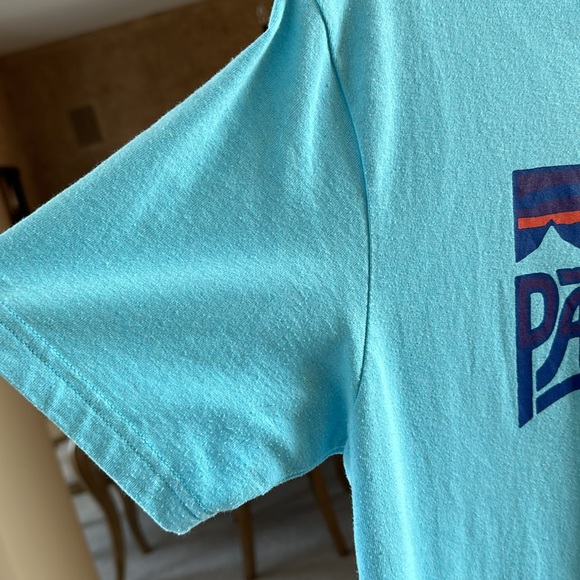Patagonia Short Sleeve Tee - Picture 4 of 5